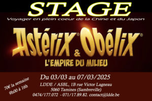 asterix stage - Copie