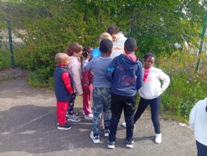 IMG_20260427_103152